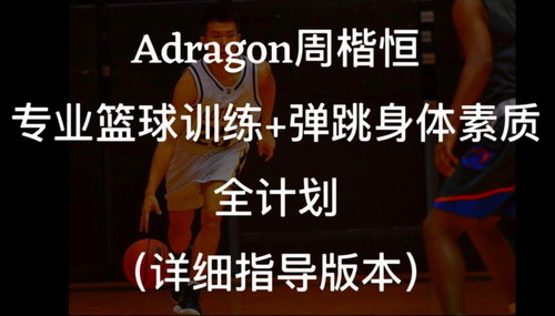 周楷恒Adragon篮球弹跳（超清视频）百度网盘分享