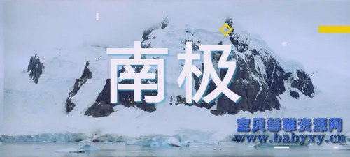 芝麻学社漫游世界之南极大探险（完结）（高清视频）百度网盘分享