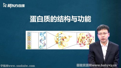 新东方2022考研西医临综基础生物化学新版 百度网盘分享