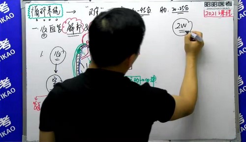 2021昭昭医考基础精讲班心血管系统（6.98G高清视频）百度网盘分享