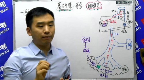 2021昭昭医考基础精讲班生理学（30.7G高清视频）百度网盘分享